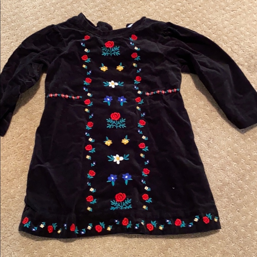 Velvet Dress with embroidery